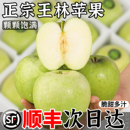 脆甜雀斑青苹果青森丑萍果现摘 正宗王林苹果新鲜水果当季 顺丰
