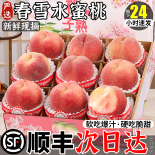 正宗春雪水蜜桃产地直发新鲜水果毛桃现摘非催熟孕妇脆甜桃子