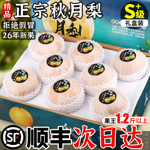 【顺丰次日达】正宗秋月梨礼盒