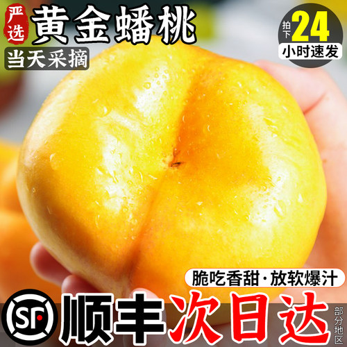 【顺丰送货上门】老树蟠桃果王