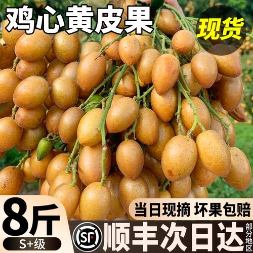 顺丰次日达！夏季必吃网红水果