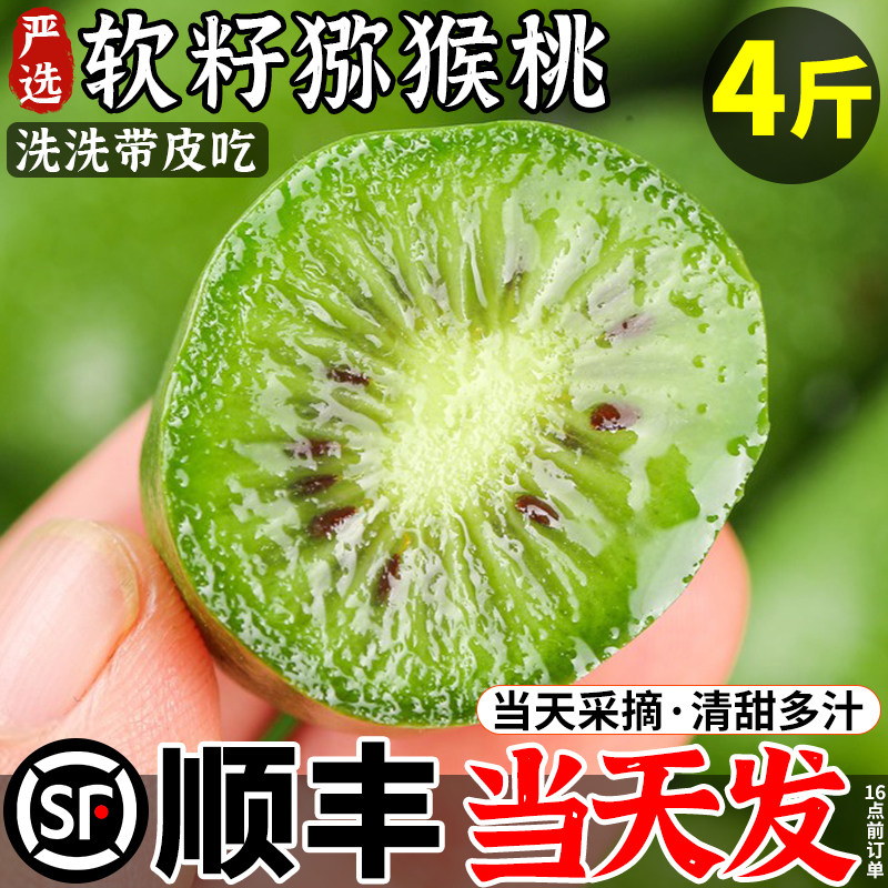 mini版绿心猕猴桃丨软枣猕猴桃