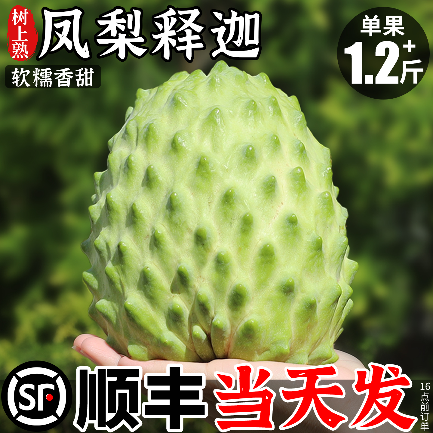 顺丰树上熟|5斤凤梨释迦果大果