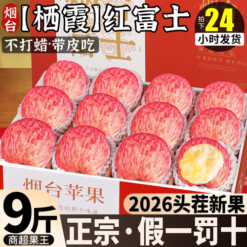 【官方推荐】正宗烟台红富士苹果