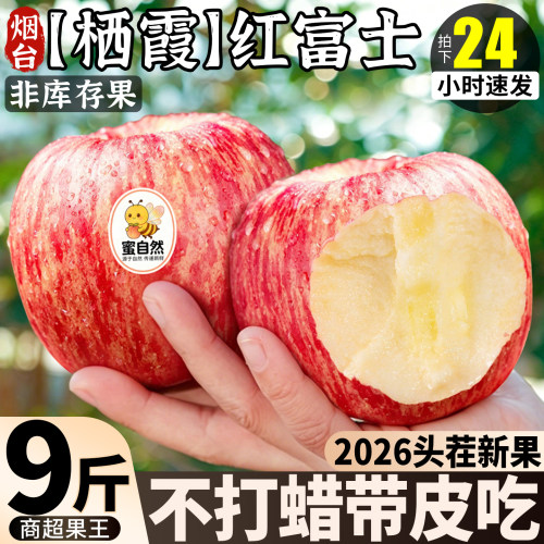 【官方推荐】正宗烟台红富士苹果