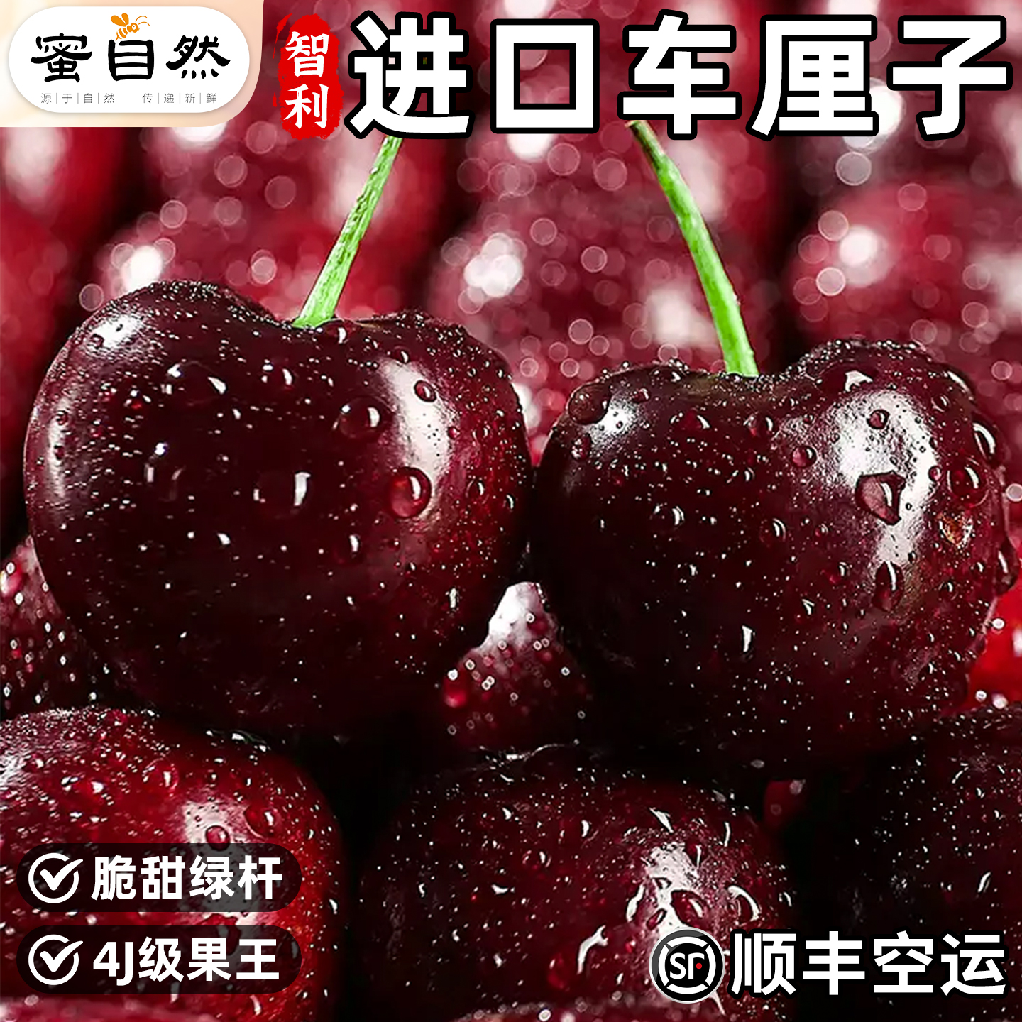 顺丰空运次日达桑提娜车厘子