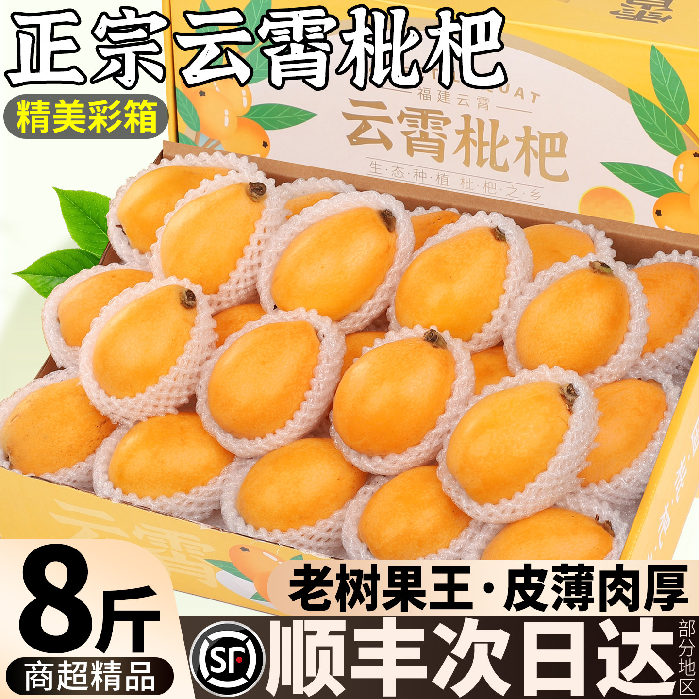 云霄枇杷鲜果8斤福建特产当季新鲜老树大果整箱包邮顺丰彩箱礼盒