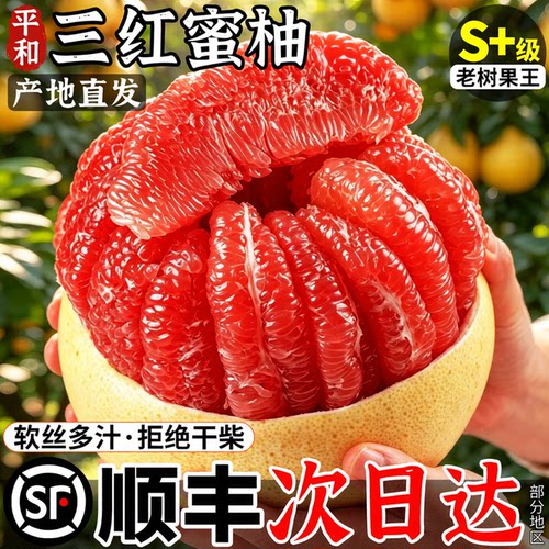 【官方推荐热销】平和三红蜜柚子