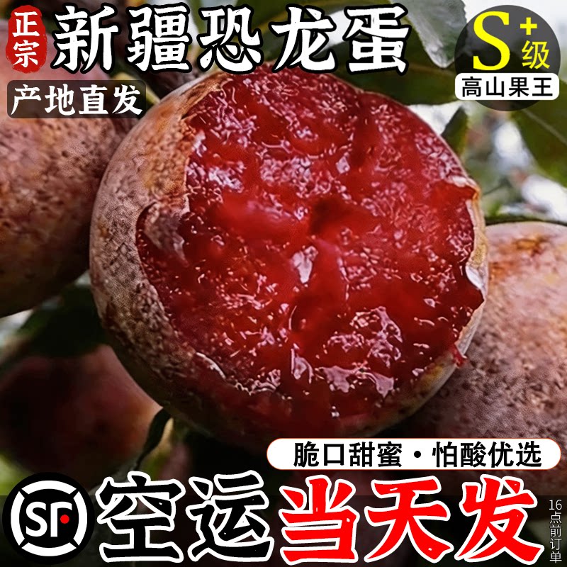 【顺丰空运速达】正宗新疆恐龙蛋