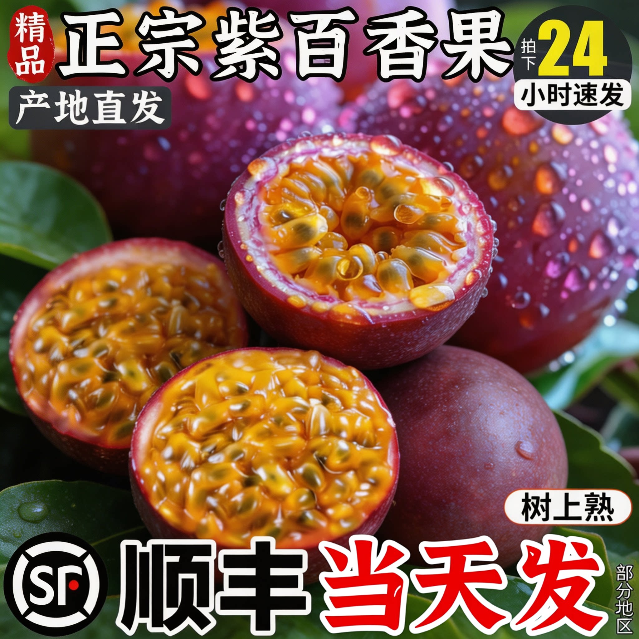 【顺丰次日达】紫色百香果