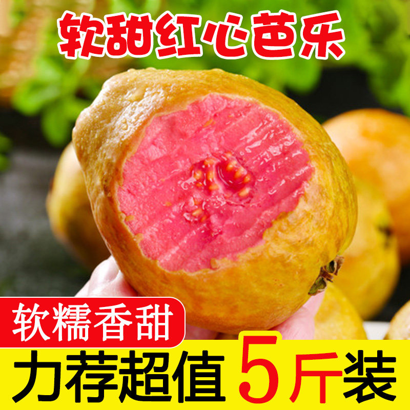 广西软糯红心芭乐水果应季番石榴