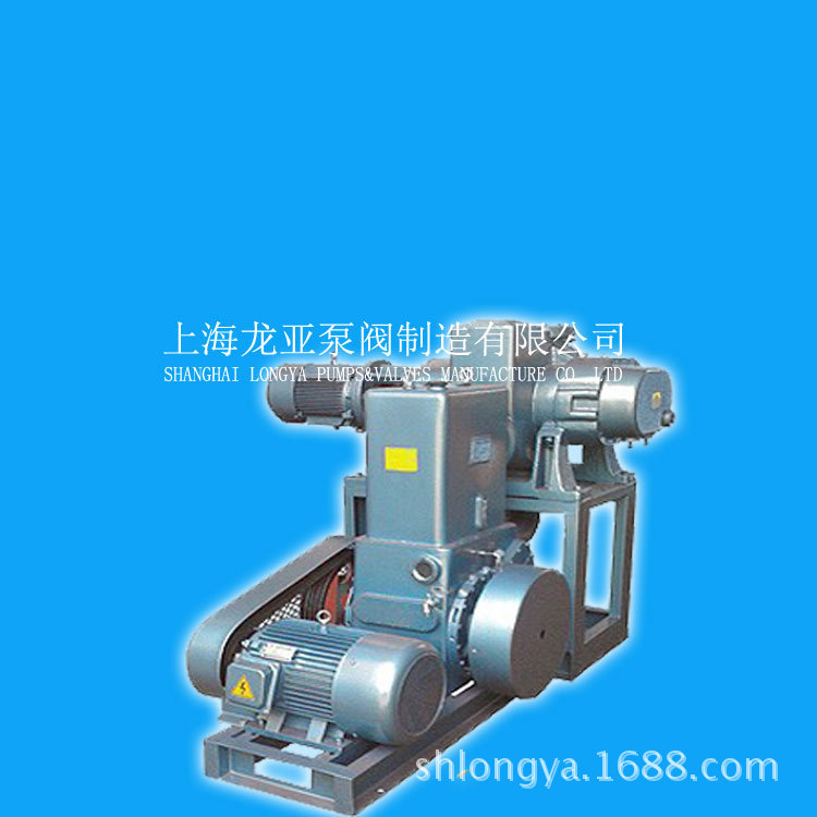 上海2X-8CT4真空泵 双级旋片真空泵、广西真空泵、南宁真空泵