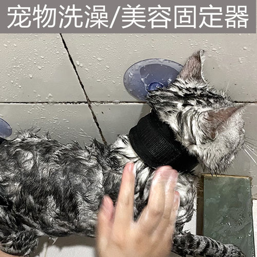 猫咪洗澡猫洗澡固定器宠物洗澡可调节防抓防乱动猫狗清洁用品