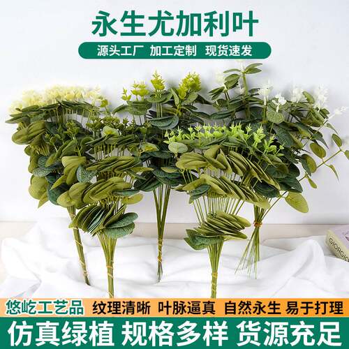 绿植仿真 高级感尤加利叶仿真花绿叶子婚庆摄影间道具