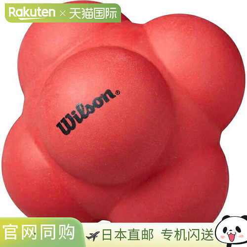 日本直邮Wilson REACTION BALL 网球训练球 大号 WR84185010