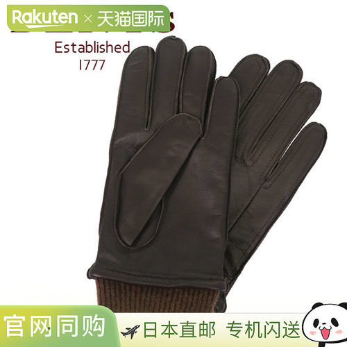 日本直邮Dents 男士皮手套防寒5-9018 棕色