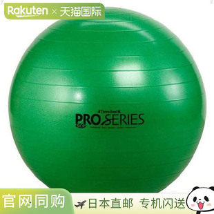 厘米 日本直邮D&M 健身球最大直径 SDS65 SDS