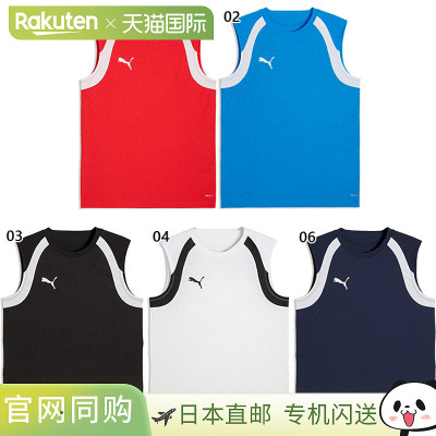 日本直邮Puma 男士 TeamFINAL26 TR SL 球衣足球上衣660975