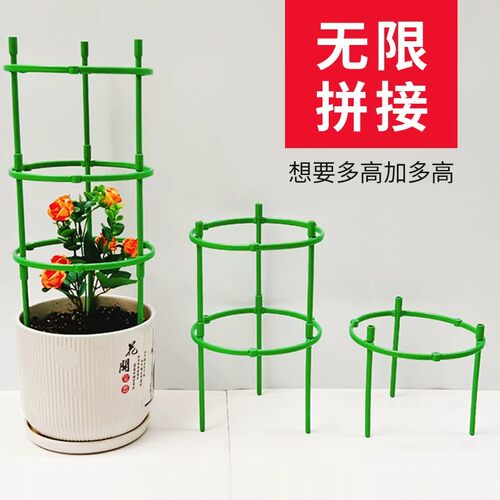 室内塑料爬藤支撑杆月季绿萝