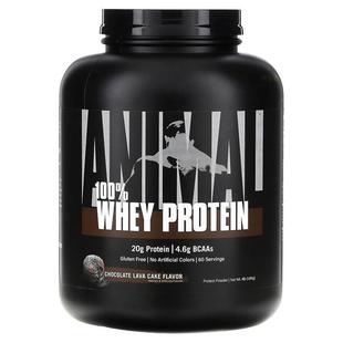 Animal,100% Whey Protein, Chocolate Lava Cake, 4 lb (1.81 kg