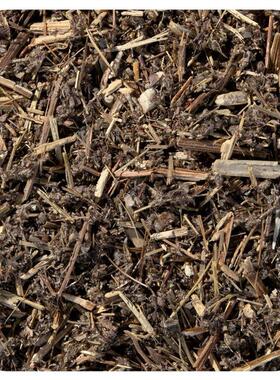 Starwest Botanicals,Organic Wormwood Herb C/S, 1 lb (453.6 g