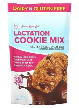 Mommy Knows Best,哺乳饼干混合物，燕麦巧克力碎，16 盎司（454