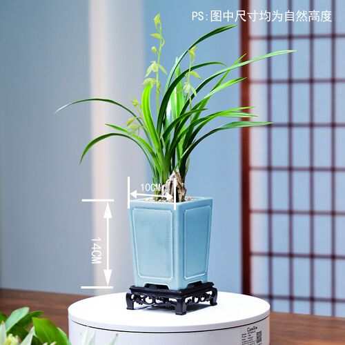青山玉泉带花剑建兰n远香陶瓷绿植兰花盆高雅透气冰裂桌面室内盆
