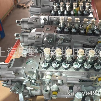 喷油泵6PH727 4009120-0346和106671-8771 106067-0570