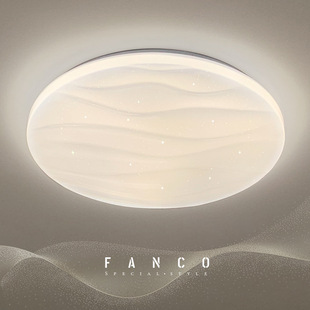 现代简约卧室吸顶灯2024年新款 吸顶灯 百搭房间衣帽间浪漫温馨时尚