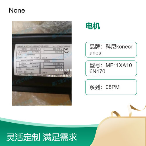 GEK106PT1BOF06LA系列电机IP55