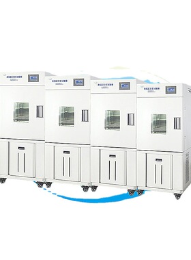 上海一恒 BPHS-1000A 高低温湿热试验箱