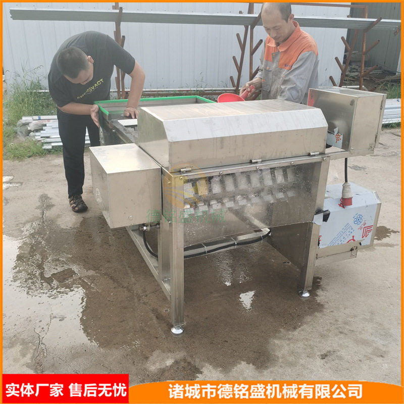 做工好的带鱼切段机厂家 鲜带鱼段切割设备 小型刀鱼分段机