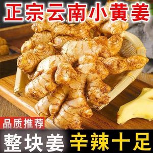 云南小黄姜生姜新鲜罗平小黄姜月子姜老姜山地土姜沙姜蔬菜旗舰店