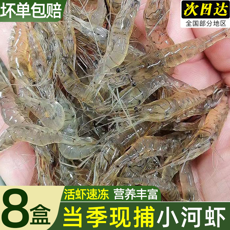 新鲜小河虾鲜活淡水河虾