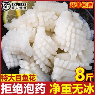 鱿鱼花新鲜冷冻墨鱼花目鱼花鱿鱼卷海鲜生鲜商用鲜活水产年货批发