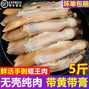 蛏子鲜活冷冻蛏王肉竹节蛏子王圣子野生海鲜水产贝类新鲜现剥顺丰