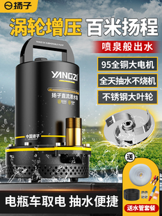 扬子直流潜水泵12V48V72V电瓶电动车抽水家用农用灌溉大功率水泵