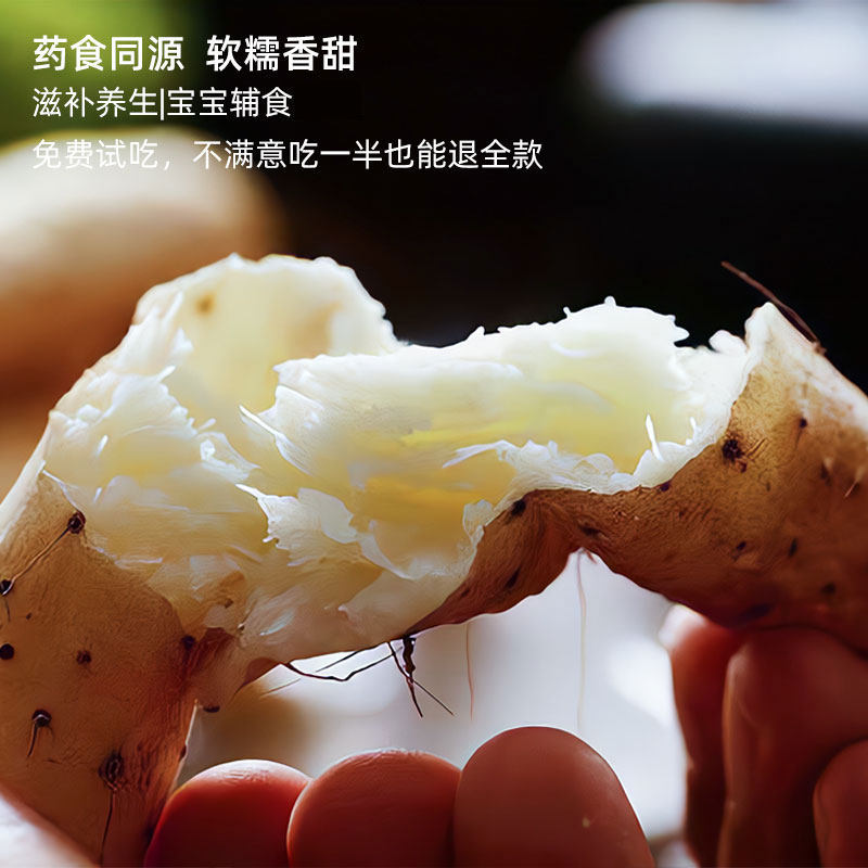 【怀沁园】正宗 新鲜温县垆土铁棍杆山药 淮山药河南焦作产地直发