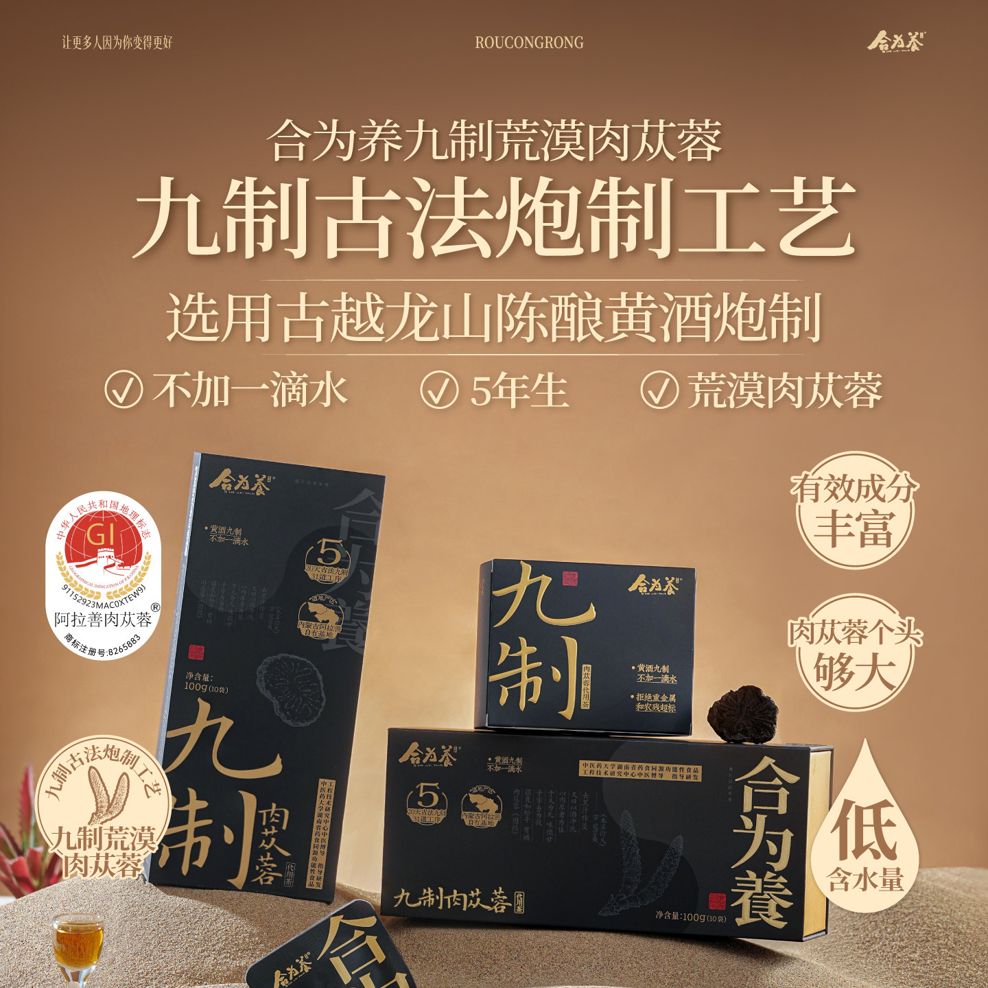 合为养五年生九制荒漠肉苁蓉内蒙古阿拉善盟额济纳旗巴丹吉林沙漠