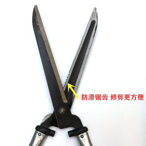 茶叶剪刀草坪茶树修枝剪子修剪花木绿H篱整树枝园林铁匠铁柄手工