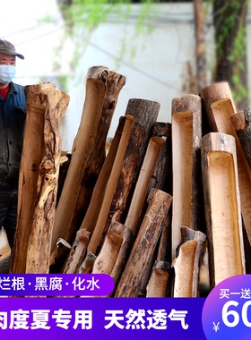 玉坠多肉花盆长方形木头树桩特大B口径木质创意庭院原木木槽盆景