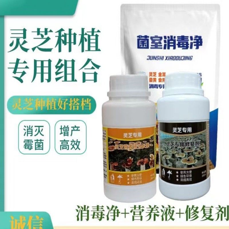 灵芝营养液 灵芝营养液生长素 C灵芝专用营养 液灵芝专用修复剂,鲜花速递/花卉仿真/绿植园艺,家庭园艺肥料,淘宝优惠券,粉丝福利购,淘宝优惠卷
