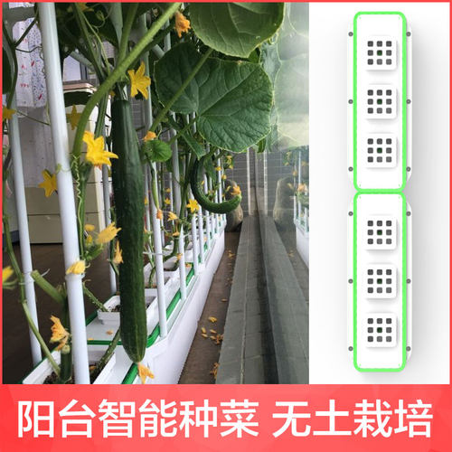 阳台种菜花盆机设备神器家庭室内菜园水I培无土栽培有机蔬菜种植