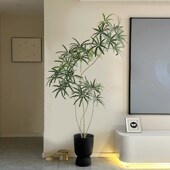 大型仿真绿植孔雀木室内客厅落y地装 饰花高级仿生植物盆栽盆景摆