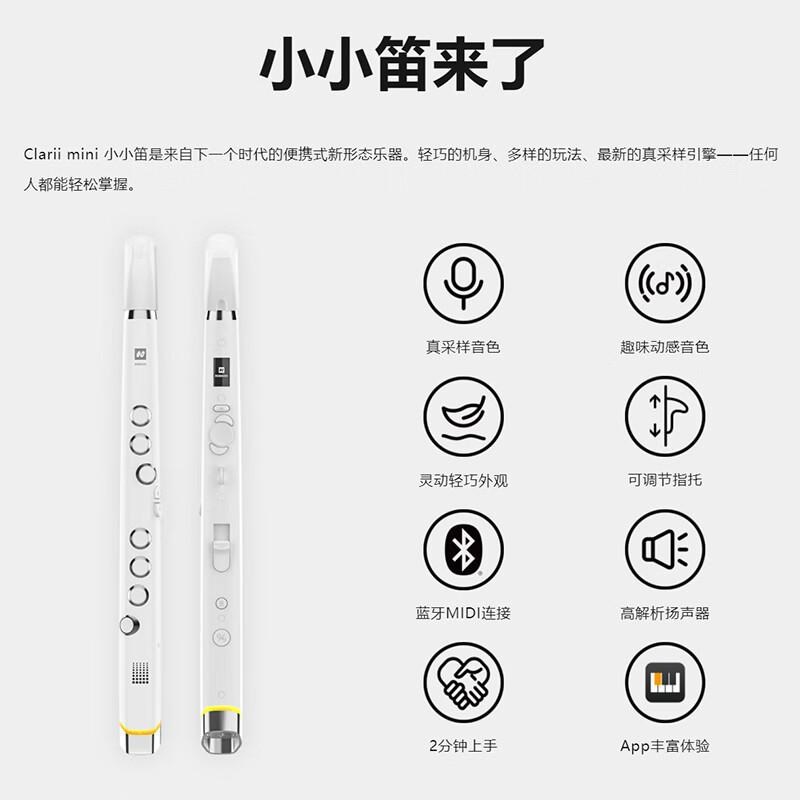 小小笛电吹管乐器 锣钹电萨克斯电葫芦丝电子笛老人初学入门大全