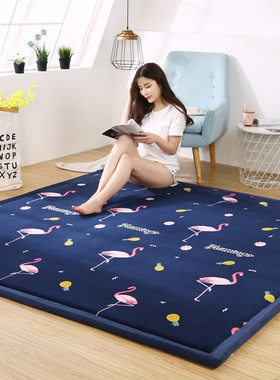 日式榻榻米c垫加厚珊瑚绒床垫卧室炕垫防滑垫铺火炕电热炕垫床护