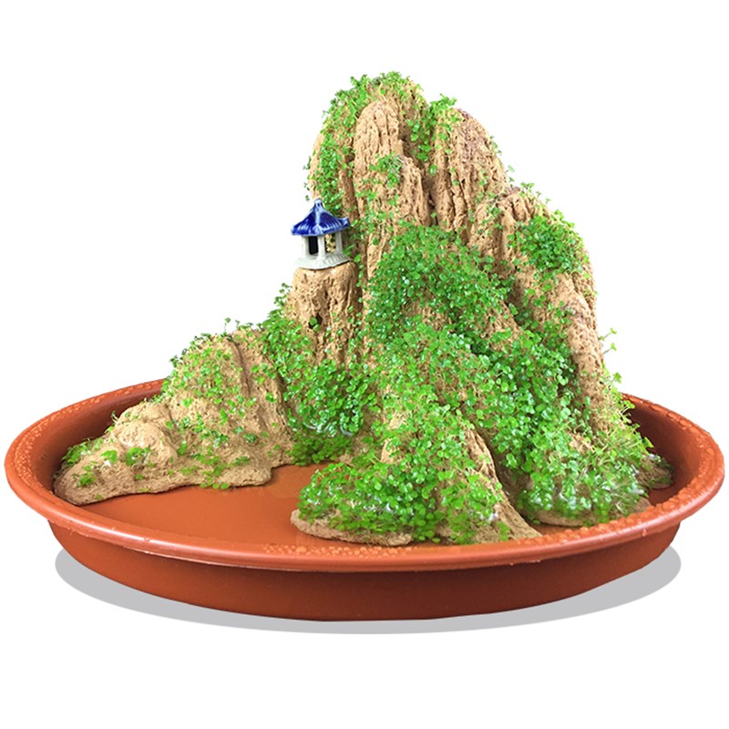 望岳假山盆景吸水石摆件上水石造景微景观室内观R赏石植物小奇石