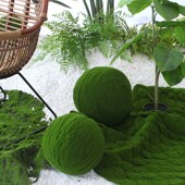 饰橱窗摆件 景w观植物造景搭配墙面草坪装 仿真草皮苔藓草皮 草球