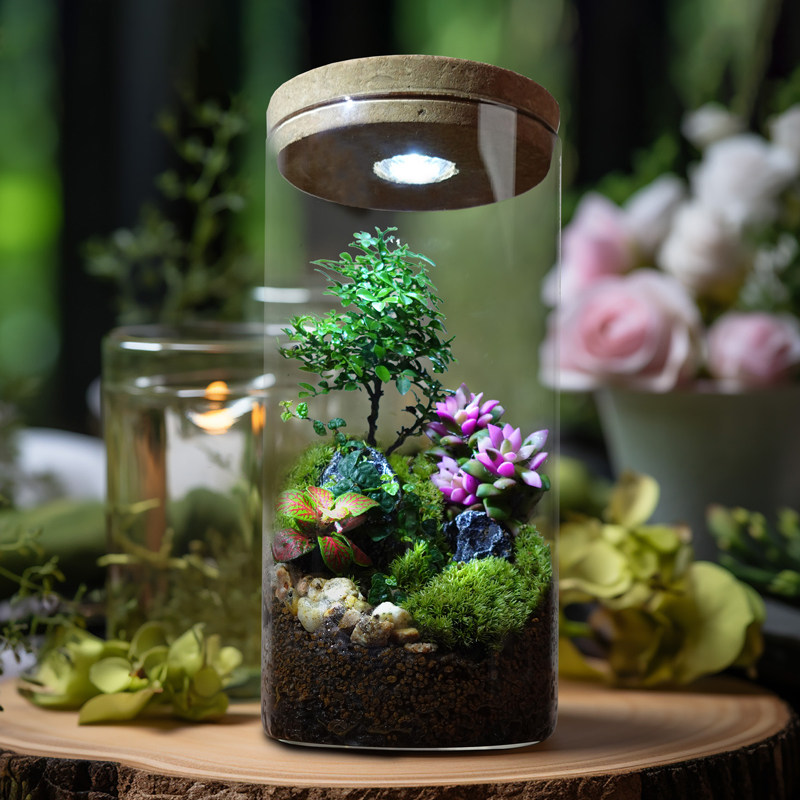 丘辰苔藓微景g观生态瓶办公室内桌面绿植DIY造景观小摆件植物盆栽