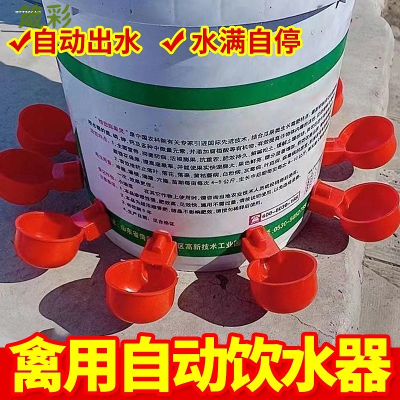 鸡鸭鹅自动水碗家禽饮水器养鸡养殖喂鸽子水满自停水碗鸡用喝水槽